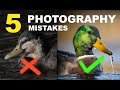 5 TOP MISTAKES IN BIRD PHOTOGRAPHY I WISH I KNEW ABOUT WHEN I STARTED!  Tips for better pics