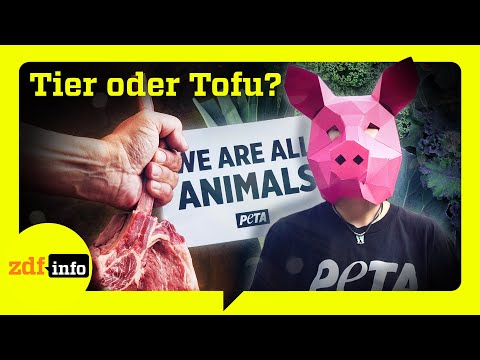 Video Thumbnail: Streit ums Essen: Wie Fleisch und Tofu die Gesellschaft spalten | ZDFinfo Doku