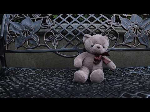 The Teddy - short film