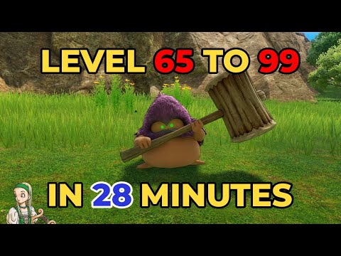 [DQ11S] Farming EXP Efficiently in 3D Mode Without Pep Pop