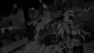 Download lagu Sorban Hitam - Harmoni Kematian mp3 Download lagu Sorban Hitam - Harmoni Kematian mp3