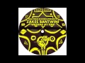 Zakes Bantwini Wasting My Time Rocco Remix