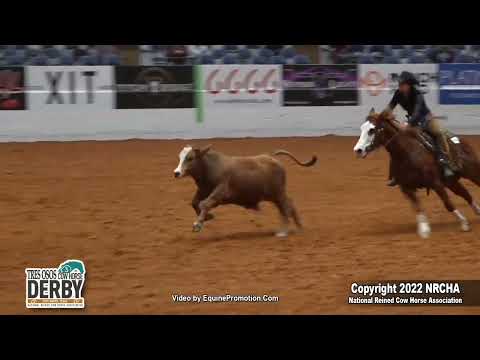 AMAZING fence run by Emily Kent & On The Reydio at 2022 NRCHA Celebration of Champions