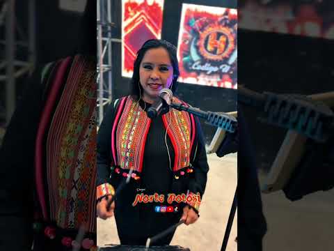 Norteando en nuestra amada Llallagua! #bolivia #nortepotosibolivia #folclore #cultura #llallagua