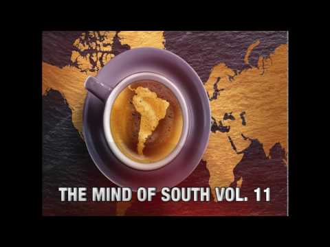 The Mind Of South Volume 11 - GUESTMIX BY RODRIGO DEEM