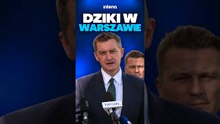 DZIKI TERRORYZUJĄ MIESZKAŃCÓW?