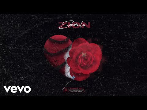 Zion Foster - SEÑORITA (Official Audio)