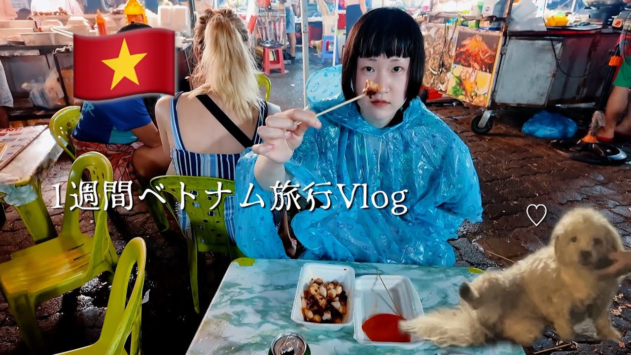 [Vlog] 🇻🇳1週間ベトナム旅行記✈️~海,山,町すべて満喫だょ~