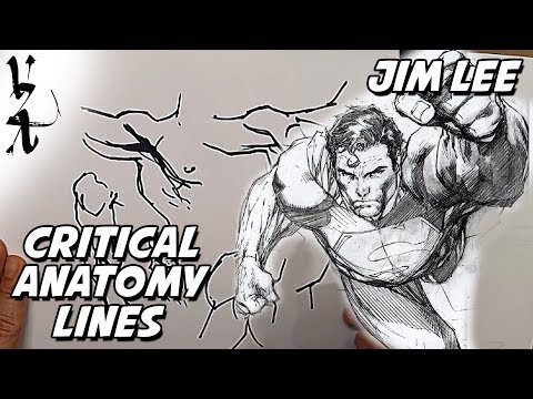 Jim Lee - Critical Anatomy Lines