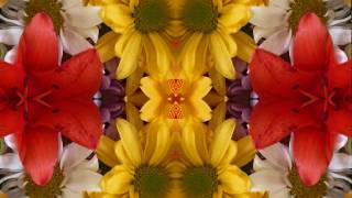 Crazy Arms (by Linda Ronstadt live in Sausalito, CA &#39;73)