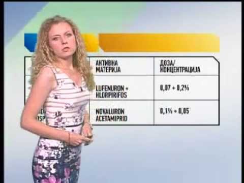 Zelena prognoza 19.7.2013.