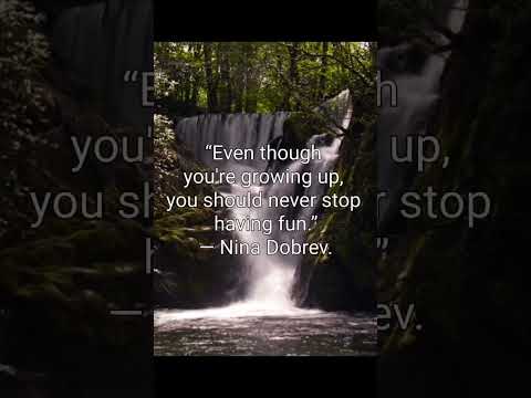 Quotes On Having Fun #1