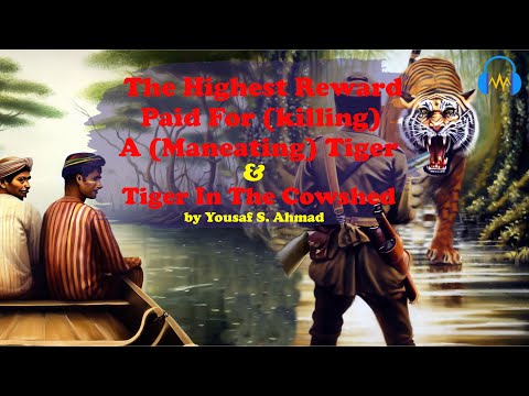 The Highest Reward Paid For (Killing) A (Man-eating) Tiger & Tiger In The Cowshed by Yusuf S. Ahmad