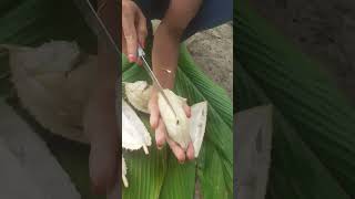 Download lagu Belah duren #makanbuah #mukbang #buahbuahansegar mp3