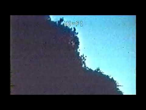 Kalim feat. Bandobabylevo - LYCA {slowed + reverb}