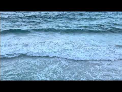 LaTorre - MEMORIA | Unofficial Video Clip