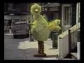 Sesame Street Big Bird Talks About Streets Sidewalks