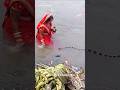 ️ Chhath Puja Mein Snake 4k Chhath Puja Status ️ Song Shorts Chhathpuja Chatsworth Chhath