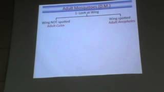 Dr Azza   Practical Parasitology   part 3   YouTube