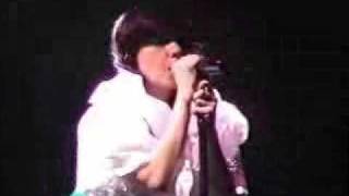 Bjork Coachella 5 Years