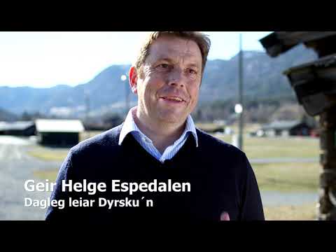 Dyrsku'n involverer lag og foreiningar frå heile Telemark fylke