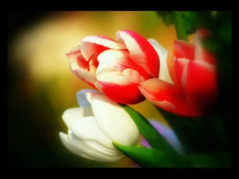 For My Dear Friend Myra