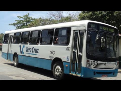Dirigindo o 163 e o 290 da expresso vera cruz na linha UR 2 ( Ibura ) / ti Tancredo neves e itaquera