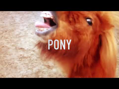MONTiMi Six.2 Pony