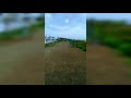 Dil Ko Karar Aaya Whatsapp Status Dil Ko Karar Aaya Dil Ko Karar 8D Song Nature Videography