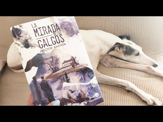 Vídeo relacionado con De tigres y gacelas (Andanzas)