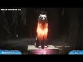Doom The Dark Ages All Wolf Statue Locations In Ancestral Forge Wraithstone Puzzle