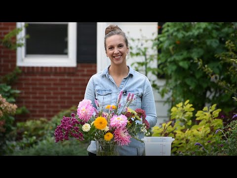How to Make Cut Flowers Last Longer 🌼🌸🌹 // Northlawn Flower Farm