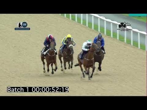 Irish EBF Barrier Trials 13 September 2021 - Batch 01