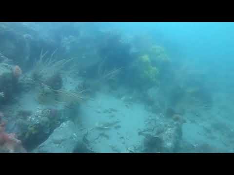 Radio Island on a good day!