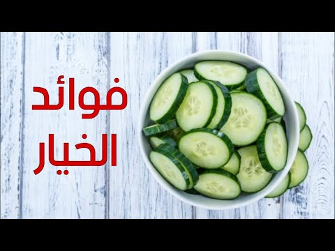 ما هي فوائد الخيار للجسم ١٠ فوائد لم تكن تتخيلها