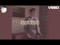 M. Craft - Snowbird [karaoke]