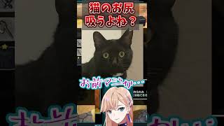 猫のお尻のにおいって嗅ぐものじゃないの？ #ミニエル #shorts