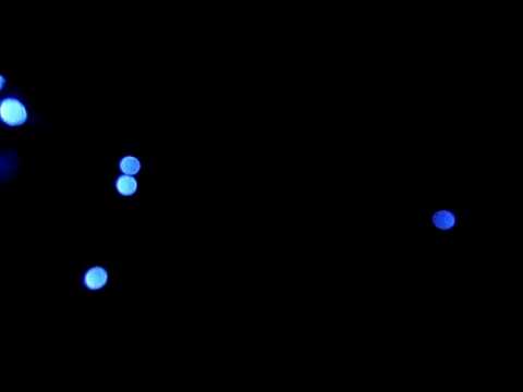 a cut from Natural Dub Killa and RadaDub  play at at Social Bass Back to the Future session