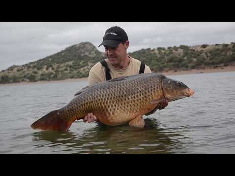 Monster Carp & Barbel - Spanish Road Trip