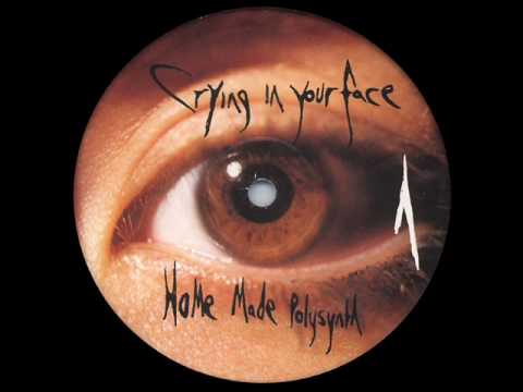 Aphex Twin (aka AFX) -  Home Made Polysynth