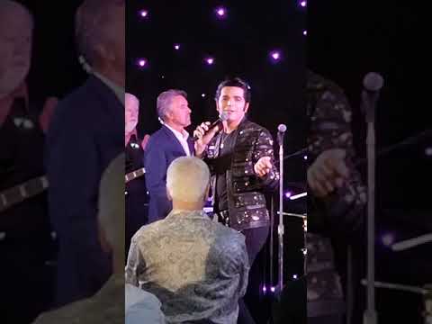 Twisting The Night Away