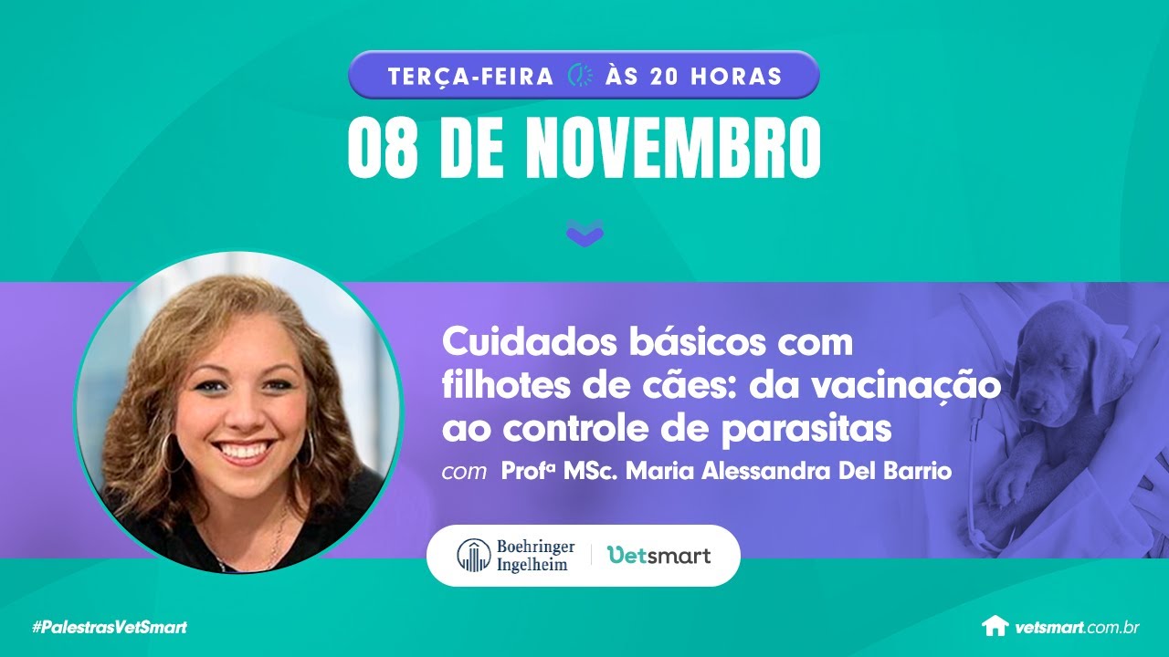 Cuidados básicos com filhotes de cães: da vacinação ao controle de parasitas