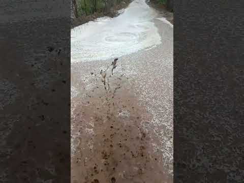 Chuvas no Nordeste: Distrito Mororó - Barra de Santana/PB - Imagens rone61047