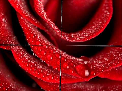 Nicolas Costa ft Angel Na & Angelina - All The World Is Up