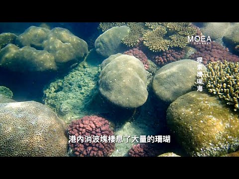 第三接收站專網