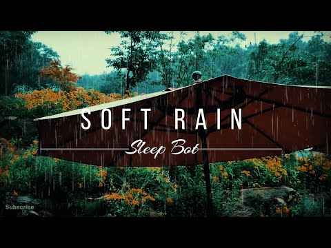 Soft Rain On Umbrella | No Ads | Relaxing Rain Sounds For Sleeping