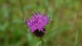 Un hombre espera en el desierto- Ismael Serrano