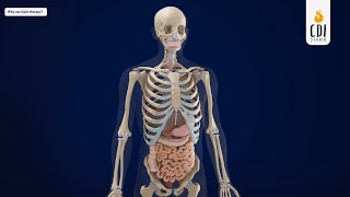 What is Light Therapy and how it works? | 3D Medical Animation