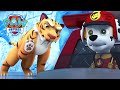Aduh Harimau Bertaring Tajam Itu Kakinya Sakit PAW Patrol Episode Indonesia Kompilasi