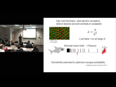 The origin of inference    Mike Paulin, PhD
